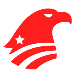 American Values icon