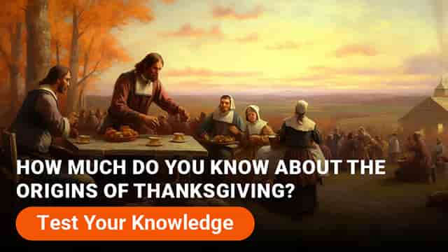 Thanksgiving Quiz Spotlight