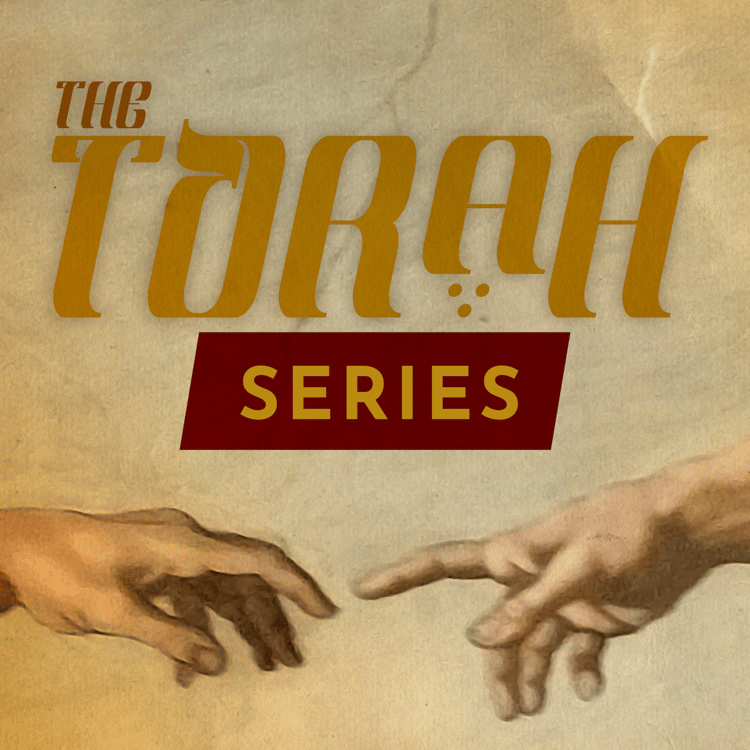 Understanding the Torah
