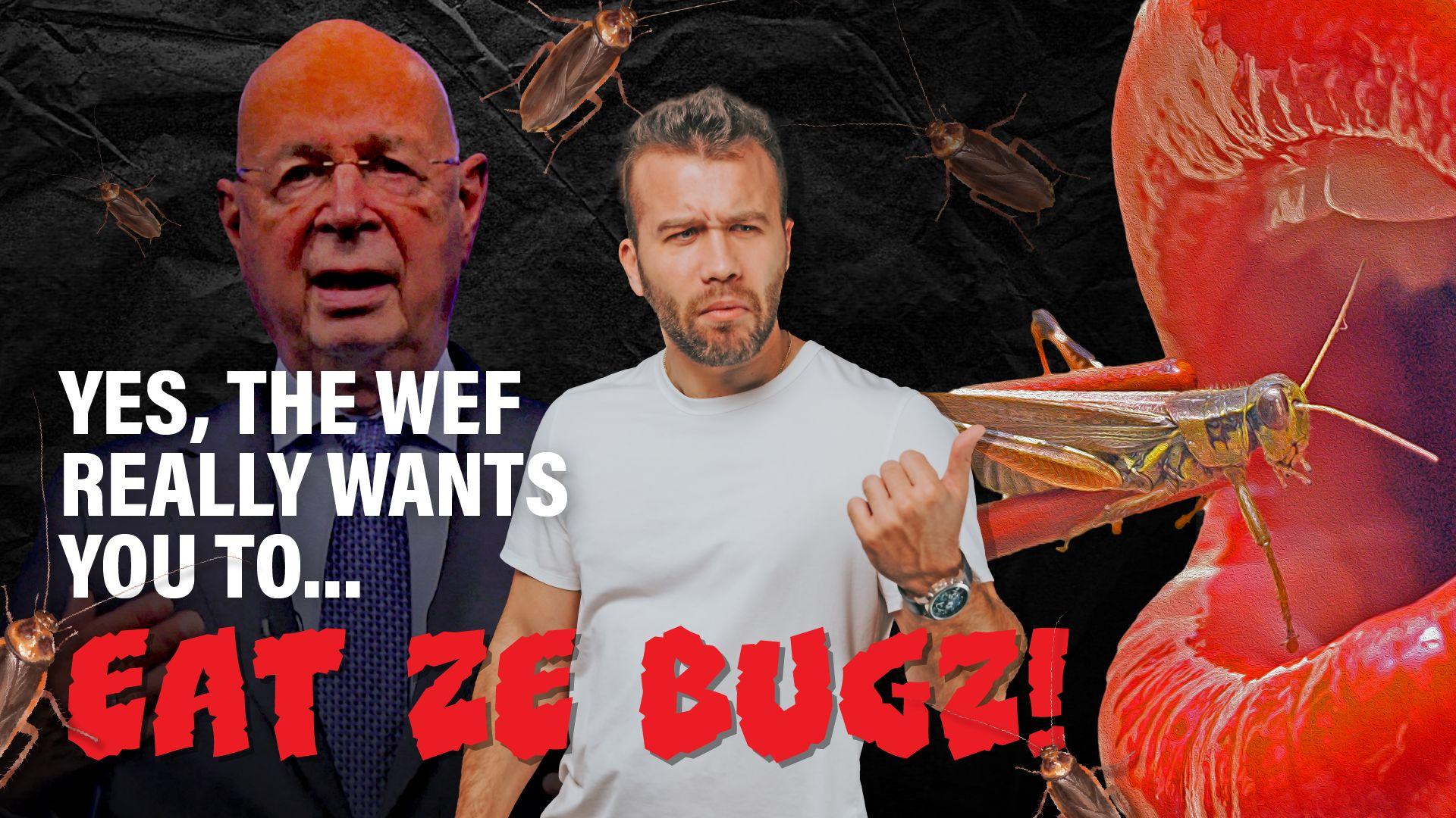 Yes, the WEF Really Wants You to... Eat Bugs!