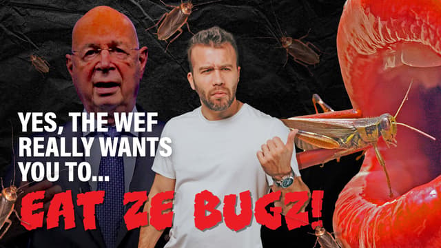 Yes, the WEF Really Wants You to... Eat Bugs!