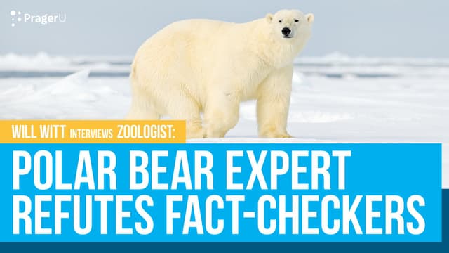 Polar Bear Expert Refutes Fact-Checkers