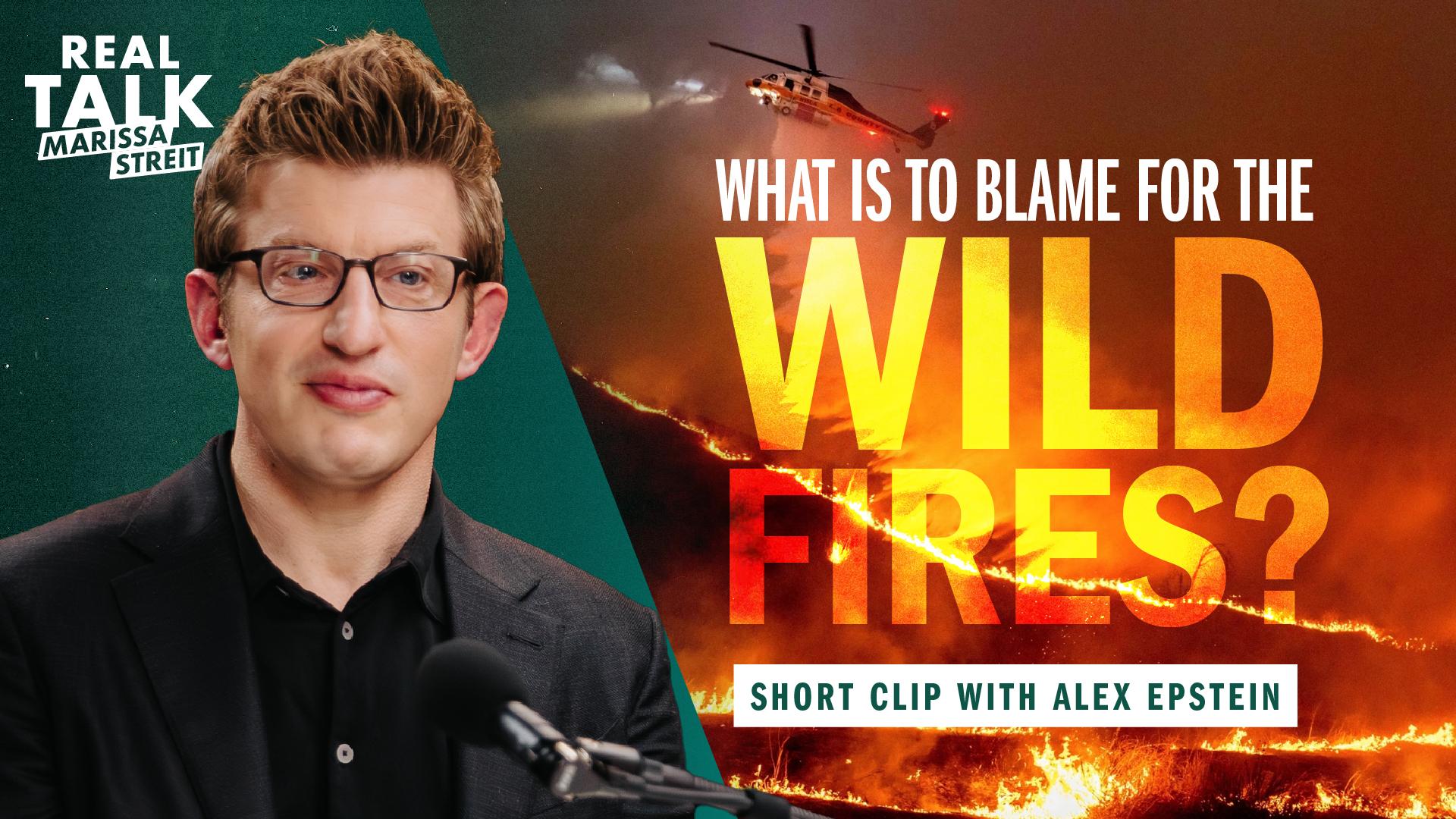 What Is to Blame for the Wild Fires?