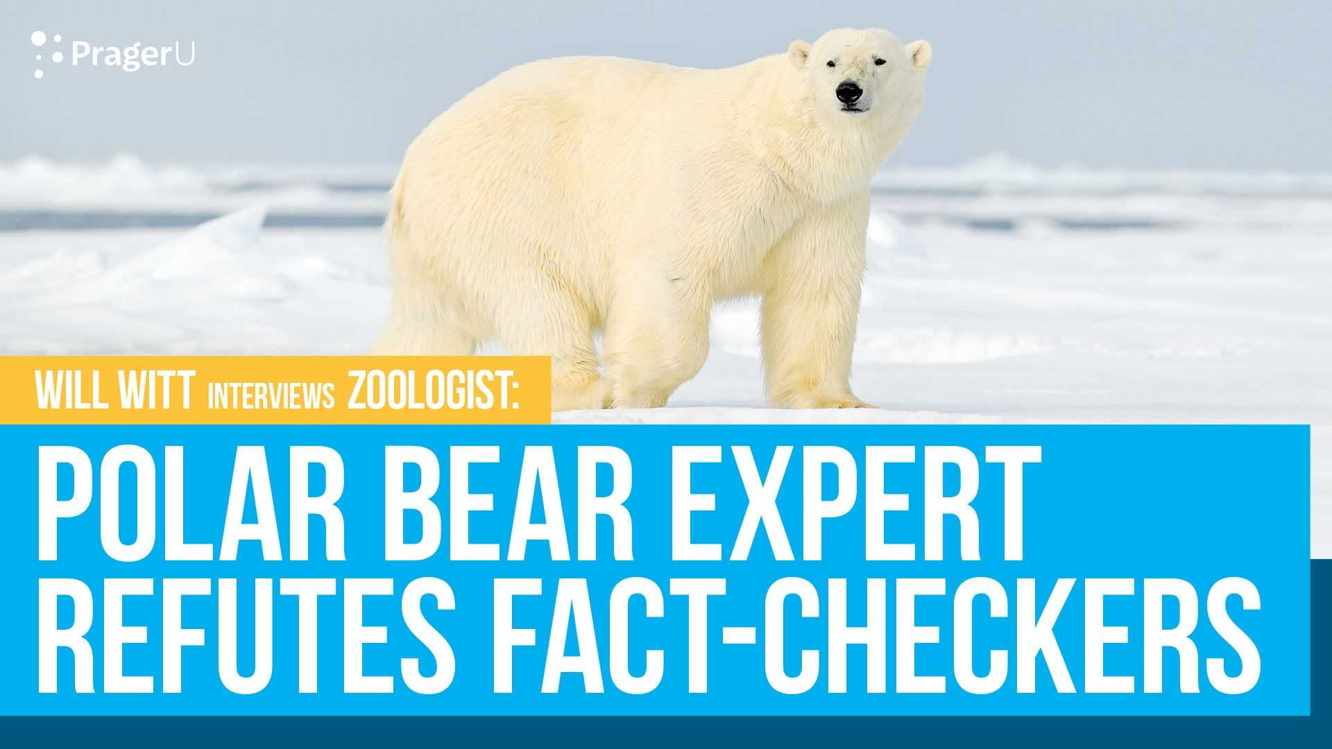 Polar Bear Expert Refutes Fact-Checkers