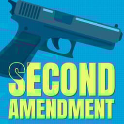 The Truth about the 2nd Amendment