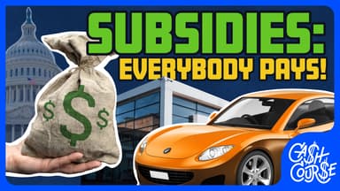 Subsidies: Everybody Pays!