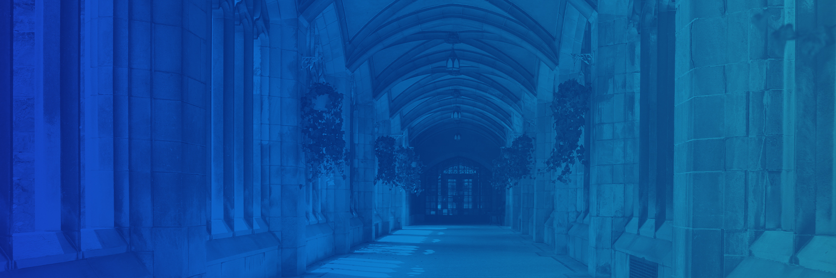 SEU Landing Page Background Hero A