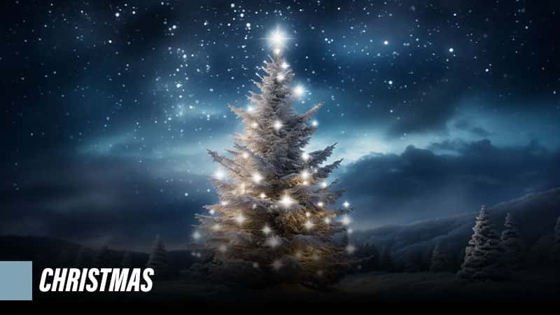 Quiz Horizontal GridsChristmas (3)