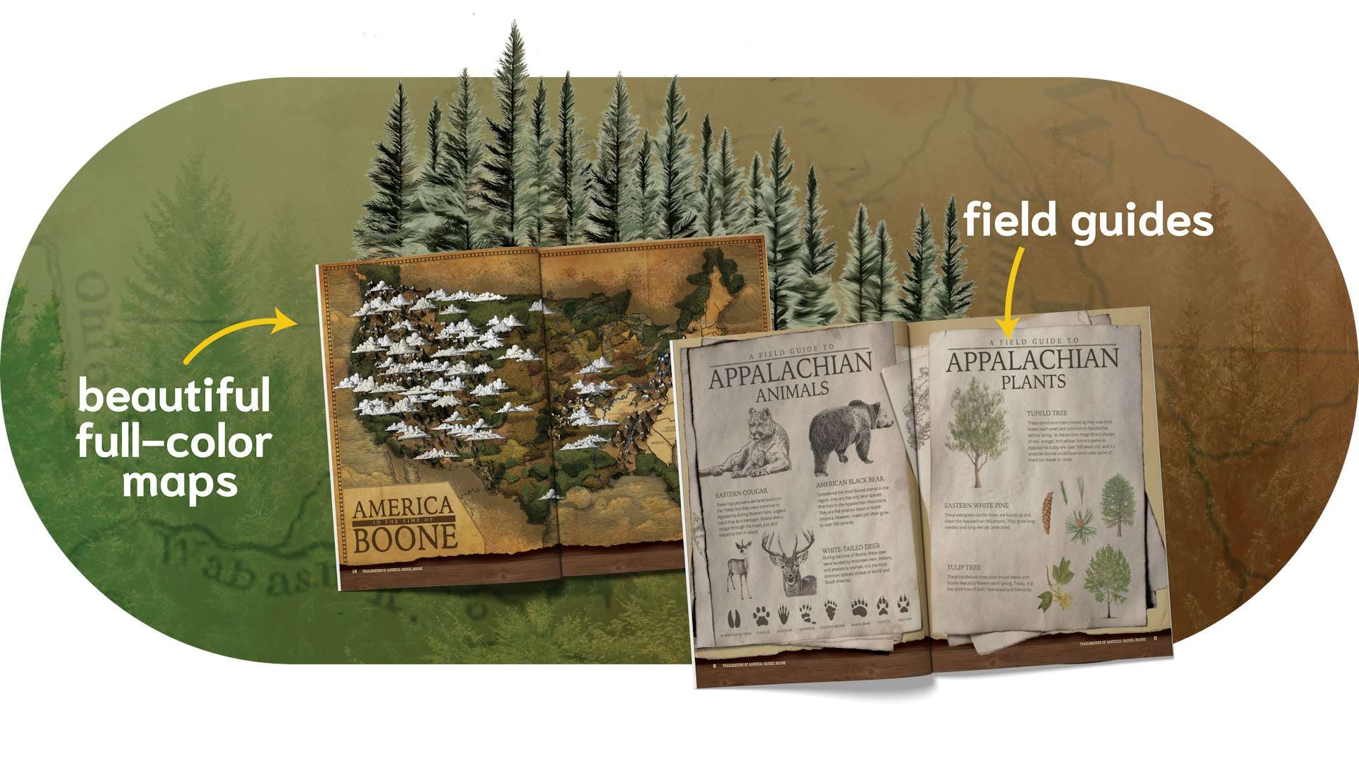 Trailblazers highlight block 01