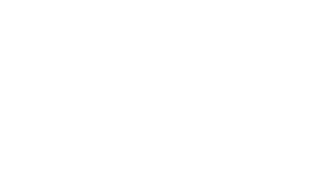 U.S. Citizenship 101