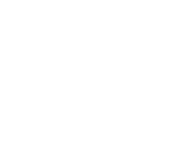 Trailblazers of America