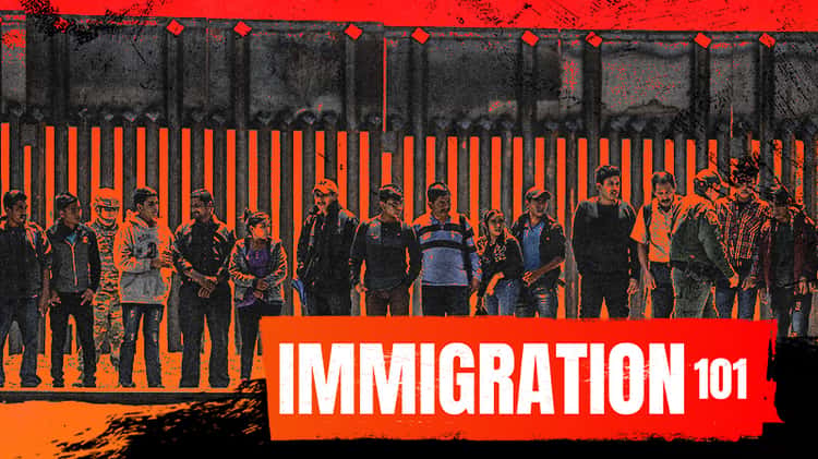 Immigration 101
