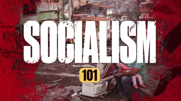 Socialism 101