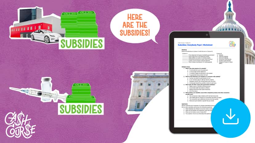 "Cash Course: Subsidies: Everybody Pays!" Worksheet