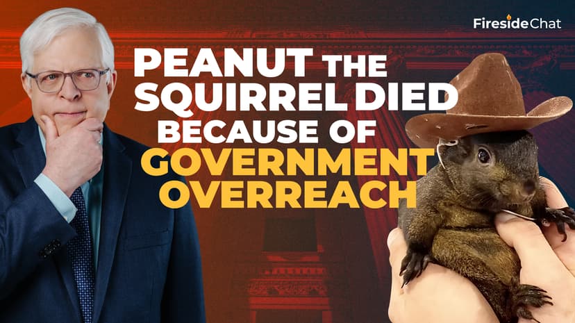 Peanut the Squirrel Died Because of Government Overreach