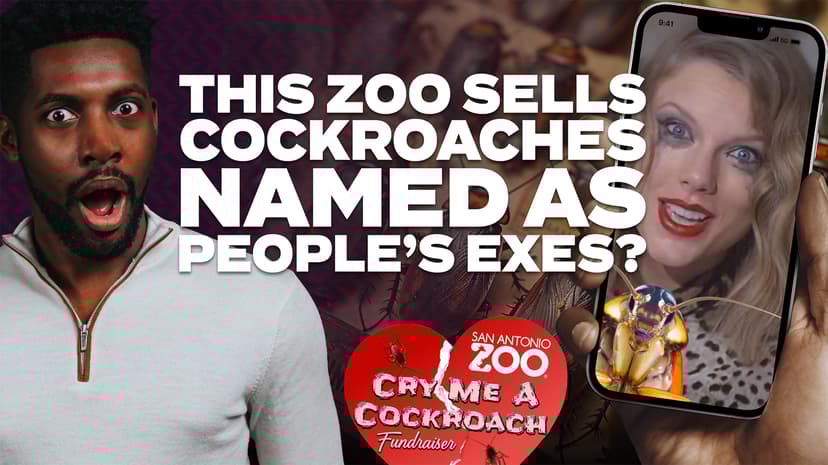 This Zoo Sells Cockroaches Named after People’s Exes?