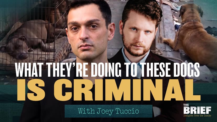The Homeless Crisis Nobody is Talking About | The Brief with Shabbos Kestenbaum